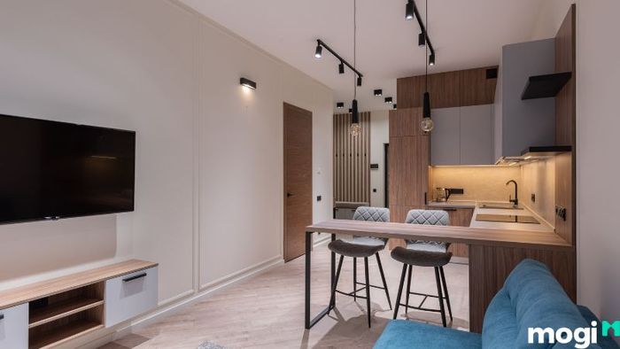 Thiết kế căn hộ 1 phòng ngủ sao cho tiện dụng và hợp lý