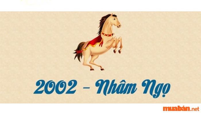 Vậy tuổi Nhâm Ngọ nên chọn hướng nào để mang lại tài lộc và bình an?