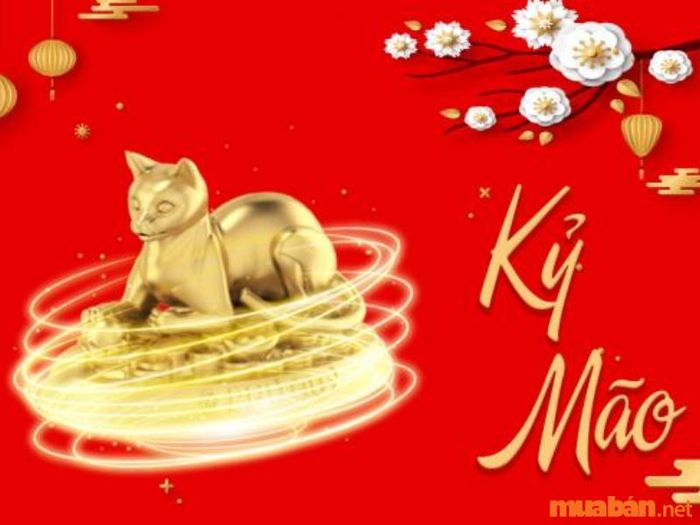 Tử vi Kỷ Mão 1999 nam mạng xét theo thiên can ngũ hành.
