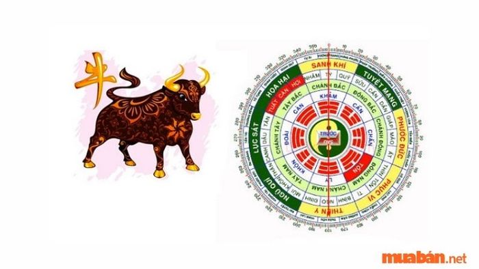 Hướng nhà hợp với tuổi Quý Sửu giúp thu hút tài lộc và vận may