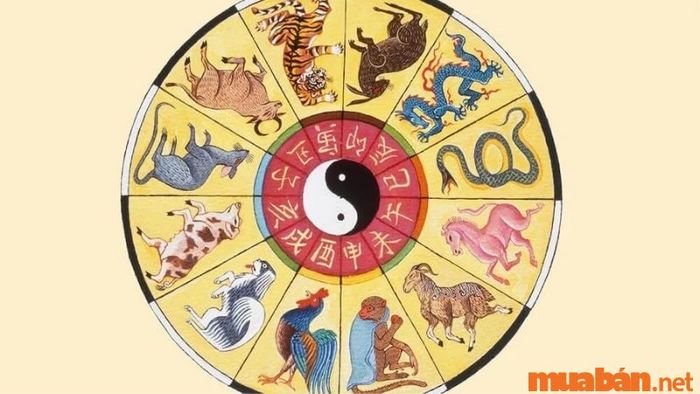 Địa chi của nam mạng Đinh Tỵ 1977 trong năm 2024
