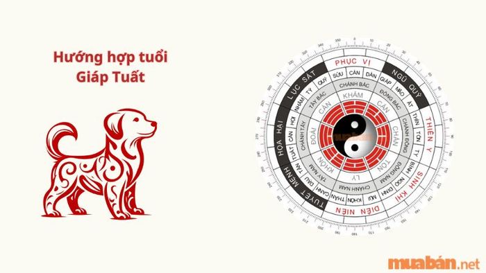 Hướng nhà hợp tuổi Giáp Tuất là một yếu tố quan trọng trong việc lựa chọn hướng xây nhà, ảnh hưởng đến tài lộc và vận may của gia chủ.