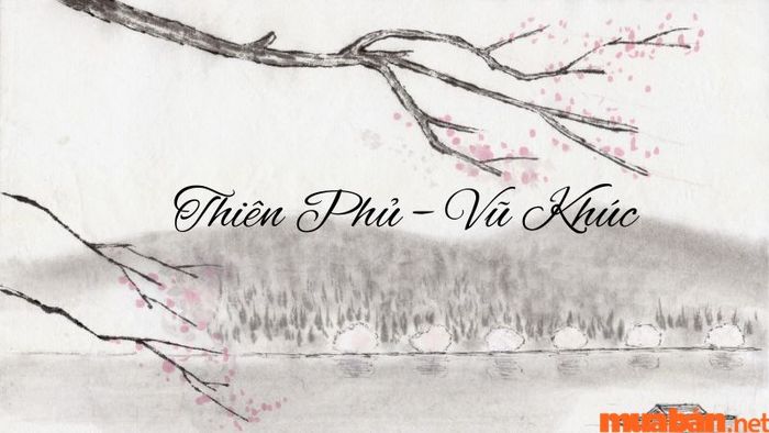 Thiên Phủ - Vũ Khúc