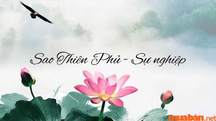 Sự nghiệp của người có sao Thiên Phủ tại cung Mệnh