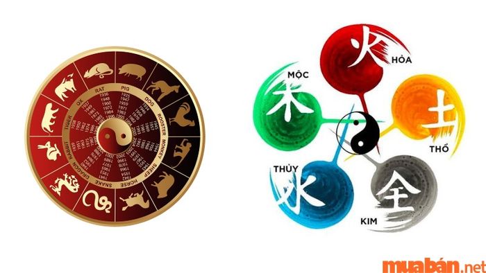 Tứ trụ tử vi Đinh Tỵ 1977 nam mạng năm 2024