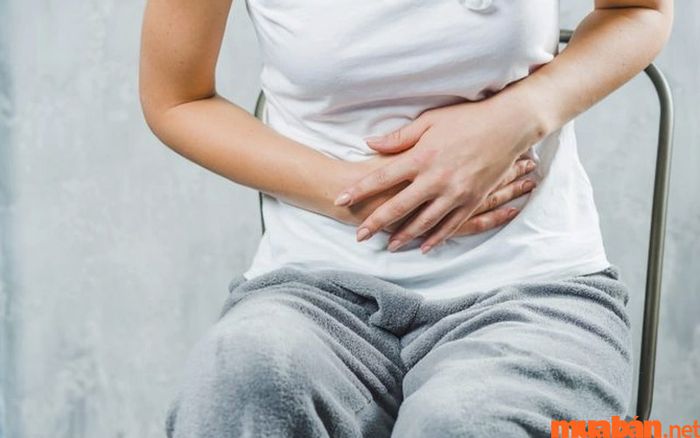 Cây lưỡi mèo có tác dụng điều trị một số bệnh về dạ dày