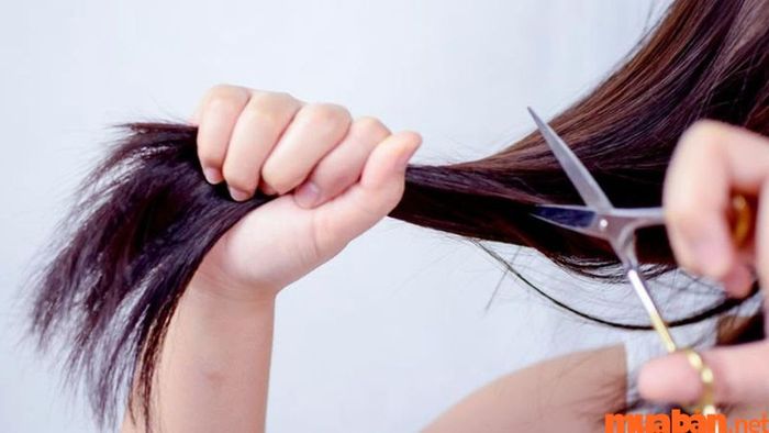 Ngày tốt cắt tóc tuần 1 tháng 9
