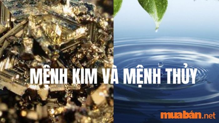 Mệnh Kim hợp với mệnh Thủy