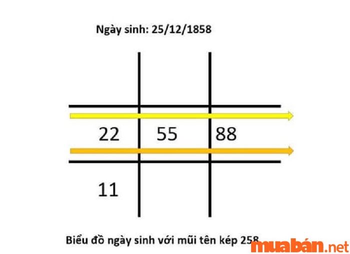 mui ten 258 9