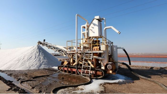 Một số đối tượng được phép sử dụng đất để sản xuất muối theo quy định của Nhà nước.