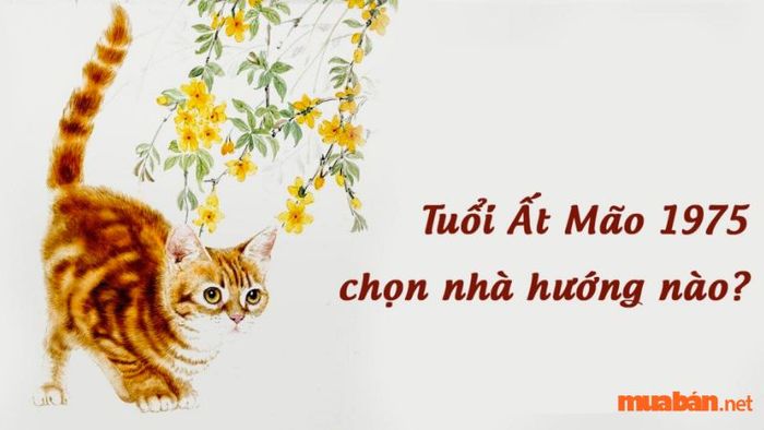 Hướng nhà phù hợp với tuổi Ất Mão 1975