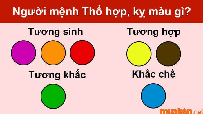 Màu sắc phù hợp với nam Đinh Tỵ 1977