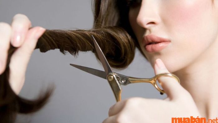 Ngày đẹp để cắt tóc tuần 2 tháng 9