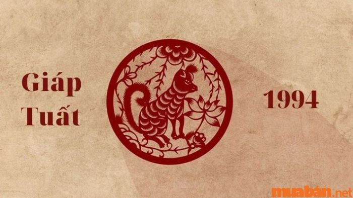 Tình hình tuổi Giáp Tuất trong năm 2024: Tổng quan