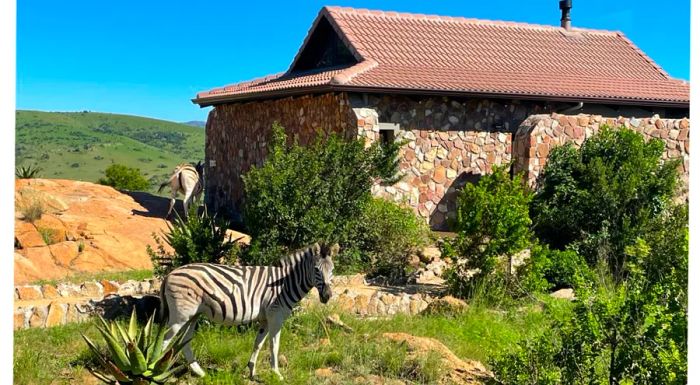 The Zulu Rock Lodge offers stunning views of the surrounding wilderness.