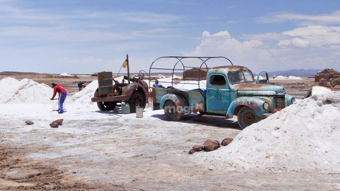 Một số trách nhiệm mà người sử dụng đất LMU cần phải tuân thủ.