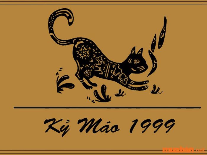 Vận niên của tuổi Kỷ Mão 1999 trong năm 2024.