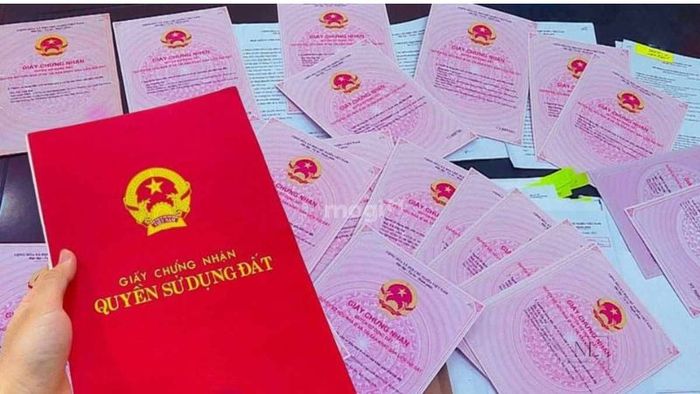 Thủ tục xin cấp Giấy chứng nhận quyền sử dụng đất LMU.