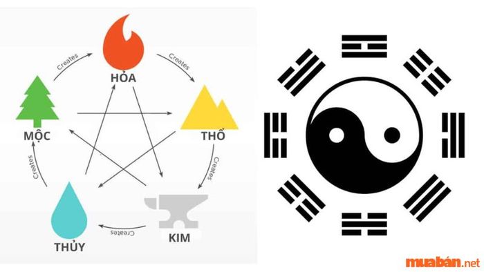 Mệnh Thổ trong Ngũ hành
