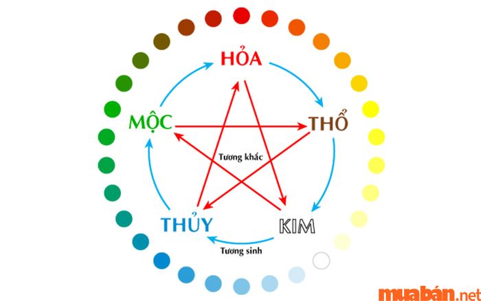 Cây lưỡi mèo được dùng để điều chỉnh và cân bằng Ngũ hành trong phong thủy