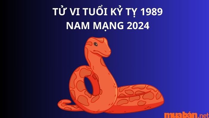 Dự báo tử vi cho nam mạng Kỷ Tỵ 1989 trong năm 2024.