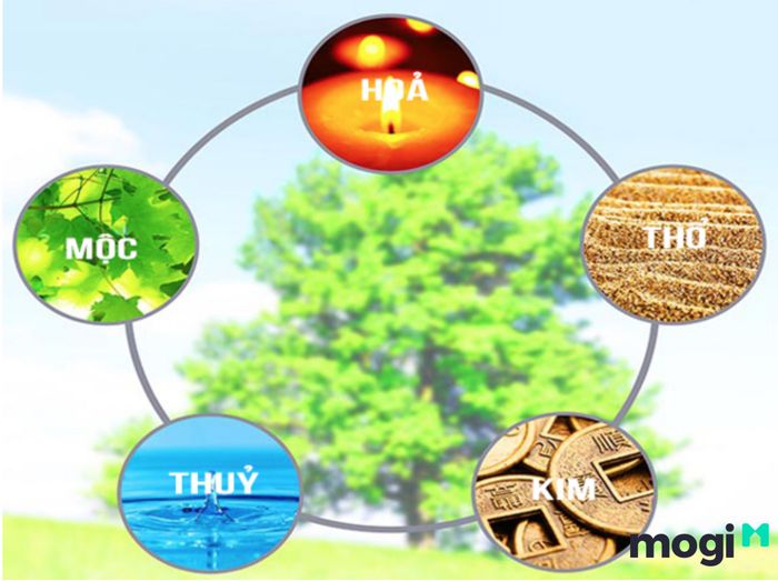 Đây là một nguyên lý mang ý nghĩa quan trọng trong phong thủy, ảnh hưởng đến sự hài hòa của vạn vật.