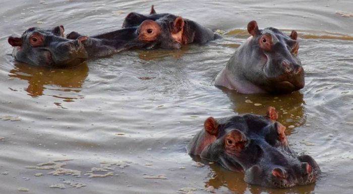 The Babanango Game Reserve is truly a wildlife paradise.