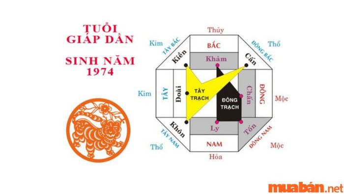 Hướng nhà tốt cho tuổi Giáp Dần 1974: Tăng tài vận và may mắn