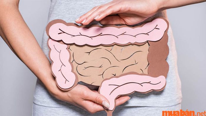 Nhiều người tin rằng Topaz có thể giúp cải thiện hệ tiêu hóa cho người sở hữu nó.