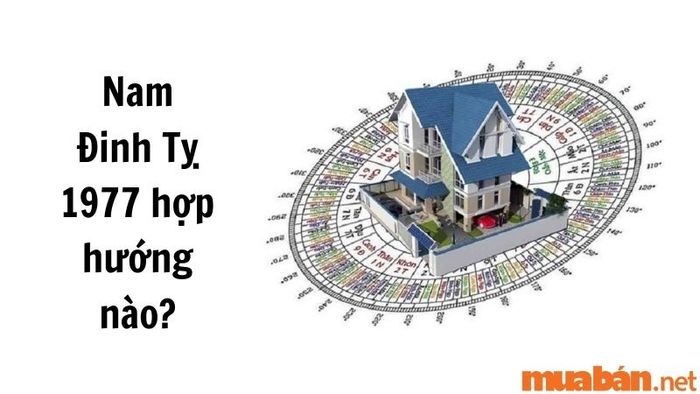 Hướng xuất hành hợp với nam Đinh Tỵ 1977