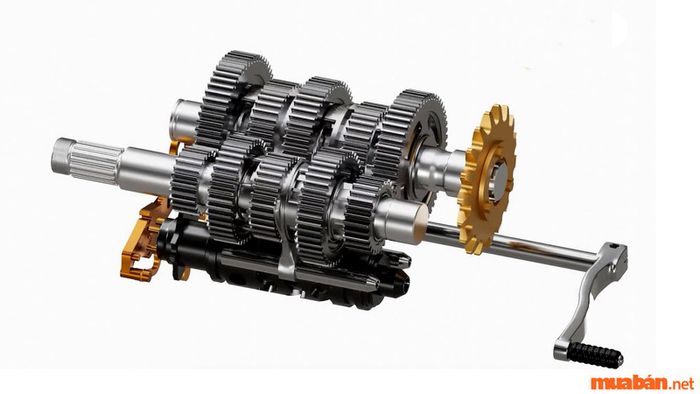 Cấu tạo của hộp số chủ động là gì?