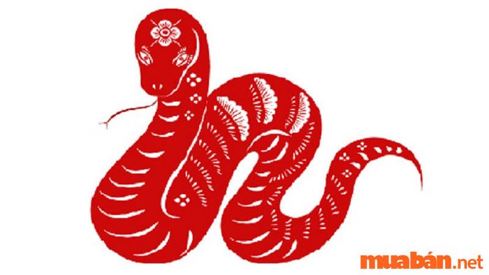 Tổng quan về tử vi của nam mạng Đinh Tỵ 1977