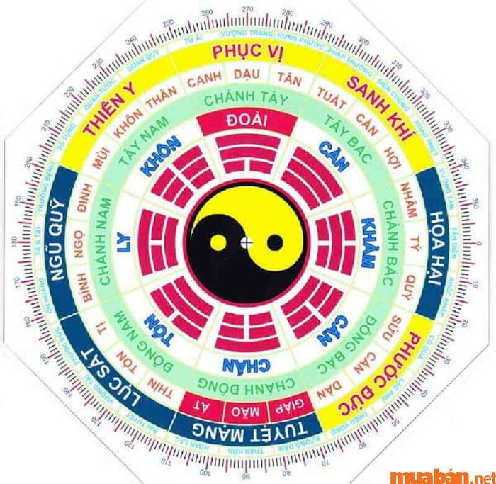 Cung phi của Đinh Tỵ 1977 nam mạng