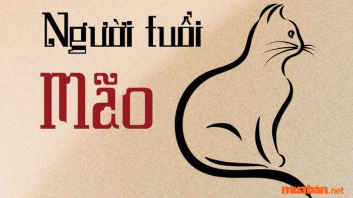Một số thông tin cơ bản về người tuổi Mão.