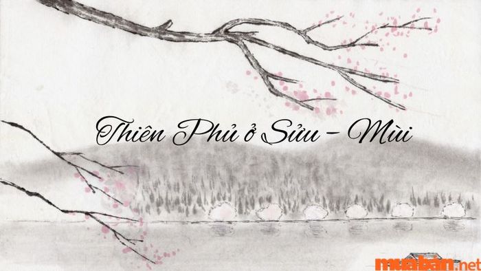 Thiên Phủ ở Sửu - Mùi