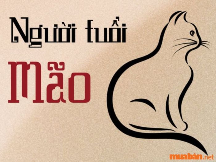 Tìm hiểu chi tiết về tử vi nam tuổi Kỷ Mão 1999 trong năm 2024.