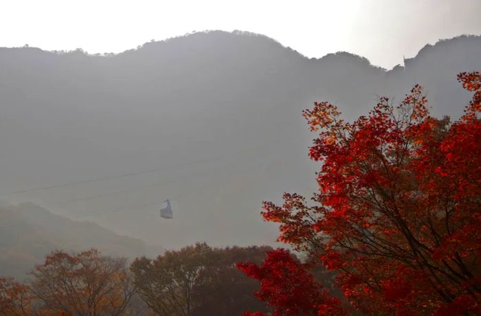 The changing seasons can work wonders, completely transforming the appearance of a mountain and giving it a fresh new look.