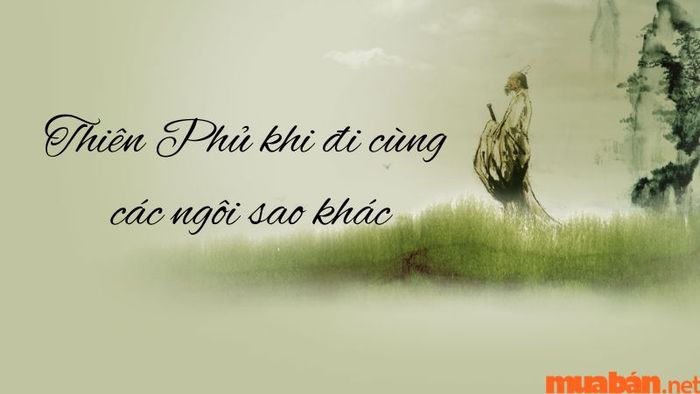 Sao Thiên Phủ khi đi cùng các sao khác