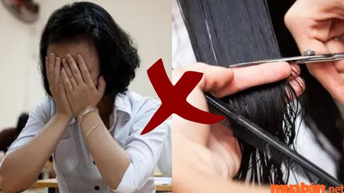 Không nên cắt tóc trước ngày thi cử hoặc các sự kiện quan trọng