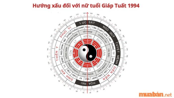 Nữ Giáp Tuất 1994 nên tránh chọn những hướng Tây Nam và Đông Bắc khi xây nhà.