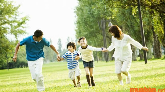 Tử vi về gia đình nam mạng Đinh Tỵ 1977 năm 2024