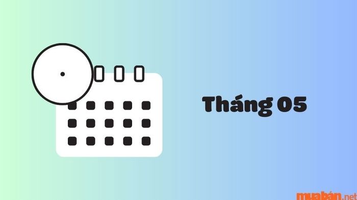 Những ngày đặc biệt trong tháng 5 là gì?