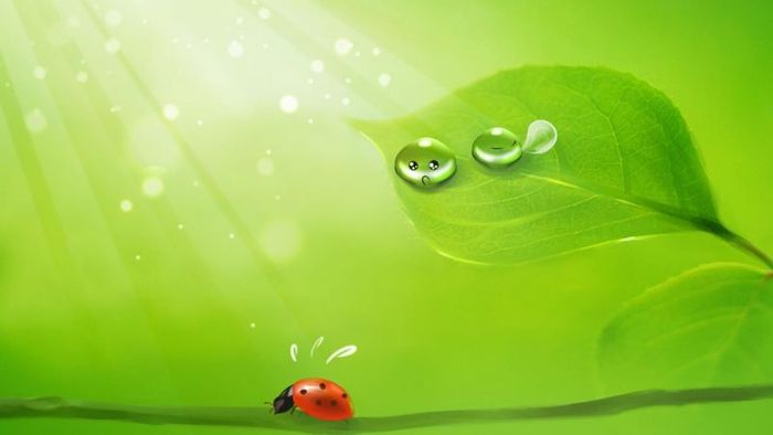 Mệnh Thủy Không Hợp Với Màu Xanh Lá, Vàng và Nâu