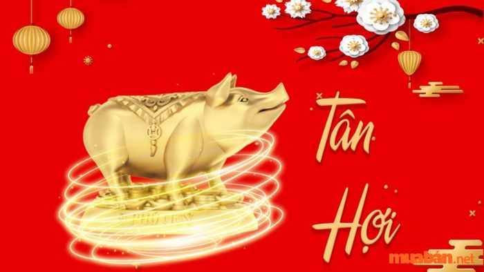 Tổng quan về người sinh năm Tân Hợi 1971