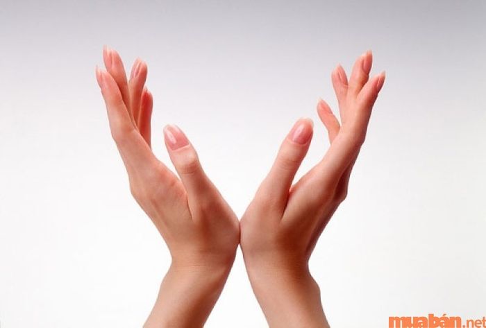 Hình ảnh bàn tay búp măng đẹp - Mẫu 4