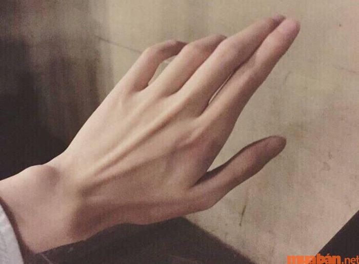 Hình ảnh bàn tay búp măng đẹp - Mẫu 13