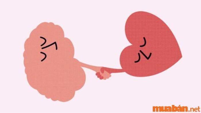 Lòng vị tha và sự hy sinh quá mức