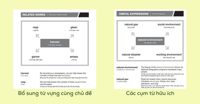 perfect ielts vocabulary full pdf