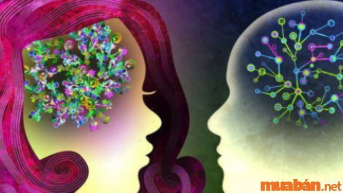 Tính cách của người mang số chủ đạo 33