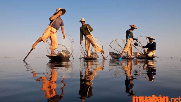 Nghề nghiệp phù hợp với người thiếu Thủy